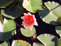 photos 2000-200902610
